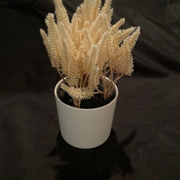 Faux potted plants, 4” tall - Picture 3 of 11